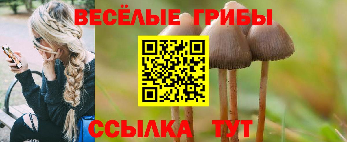 Кирово-Чепецк  Псилоцибиновые грибы Cubensis  Вход с VPN 